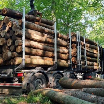 Grumes et billons de résineux pour scierie et charpente – Semi-remorque complète de 50 stères – Certifiés PEFC et FSC