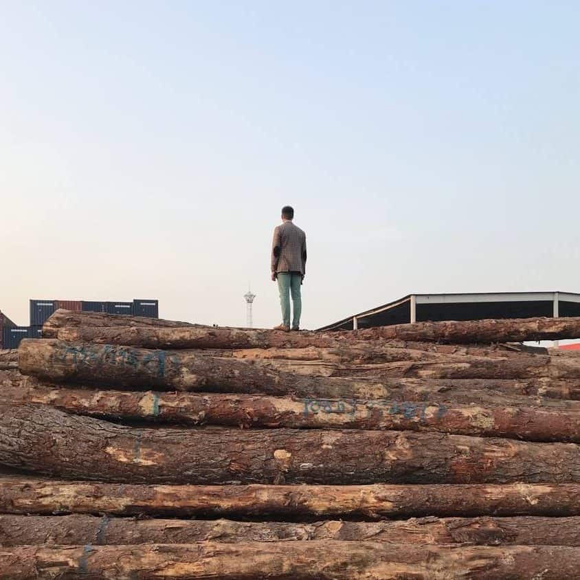 Découpe et fendage du bois de chauffage chez CRBOIS DISTRIBUTION