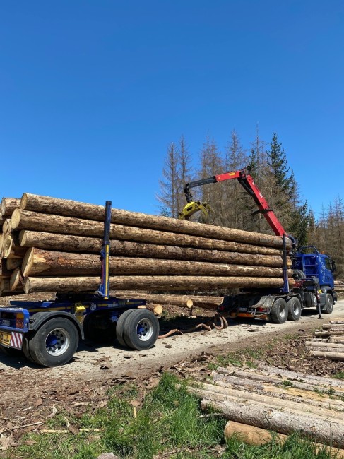 Camion de CRBOIS DISTRIBUTION livrant des palettes de bois de chauffage
